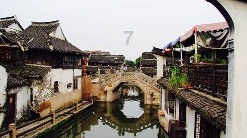最后生还者2